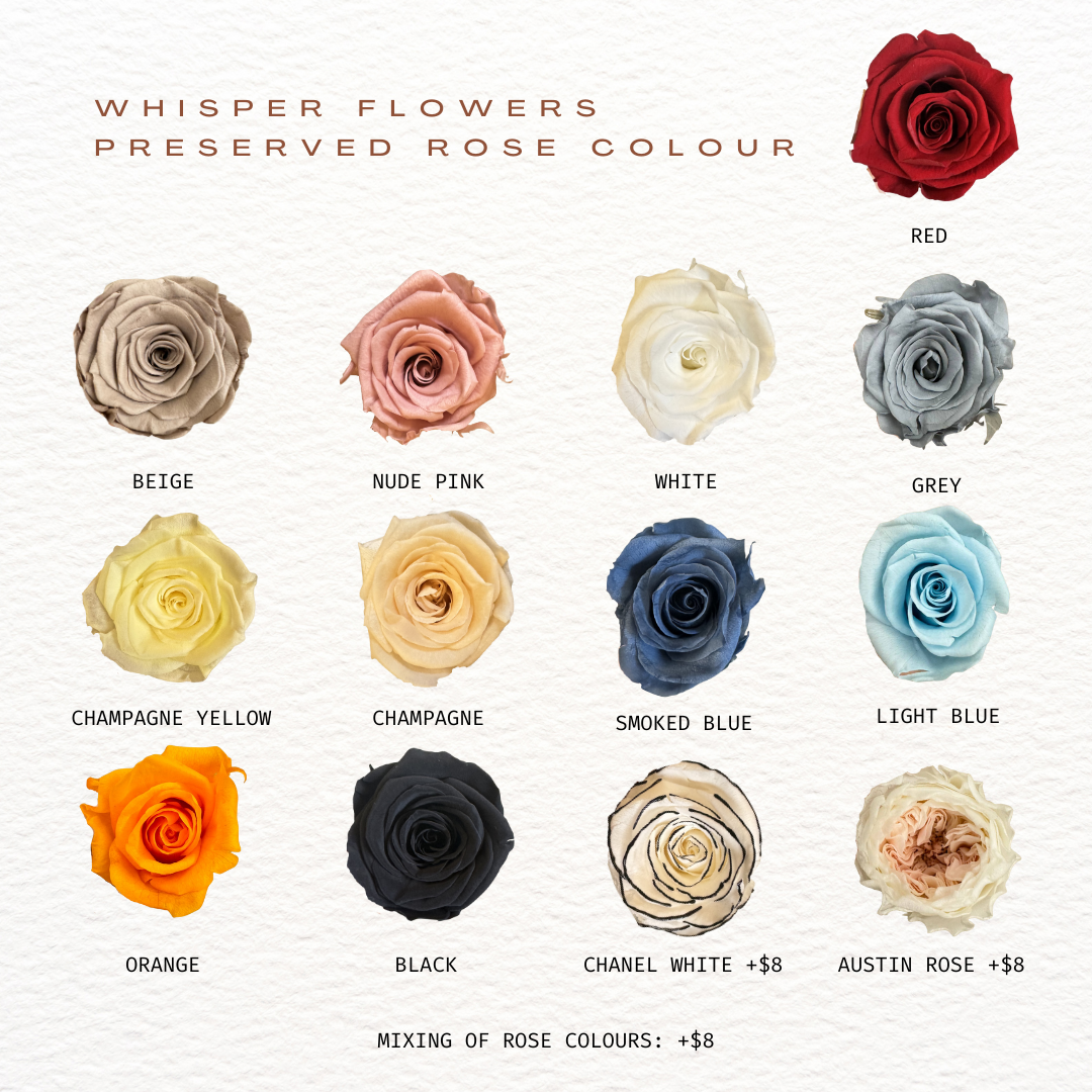 Single Stalk Preserved Rose