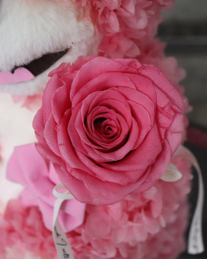 LOTSO Strawberry Bear Preserved Flower Figurine Box